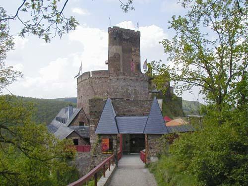 Hôtel Ehrenburg Betriebs Gmbh à Brodenbach Extérieur photo